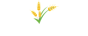 The Leavitt Institute for International Development Logo